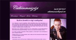 Desktop Screenshot of csillammasszazs.hu